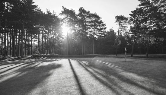 Picture of new testing micros package